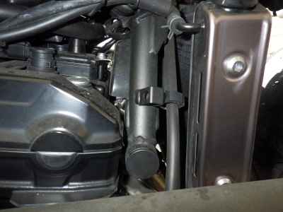 Kawasaki Z900RS Cafe 2024