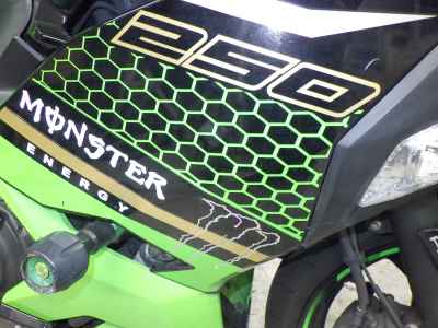 Kawasaki Ninja 250 2020