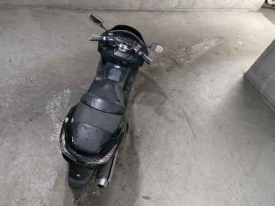 Honda Forza Z 2006