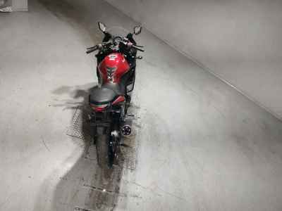 Kawasaki Ninja 250R 2010