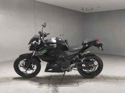 Kawasaki Z250 2013
