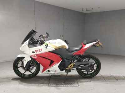 Kawasaki Ninja 250R 2009