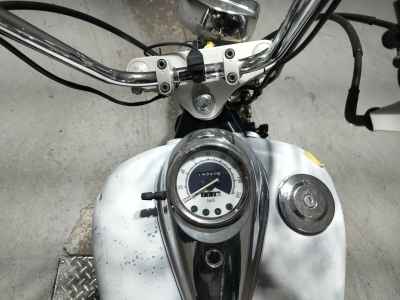 Yamaha XVS250 Drag Star