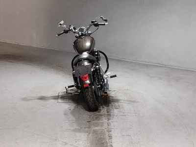 Harley-Davidson Sportster Custom XL1200C 2018