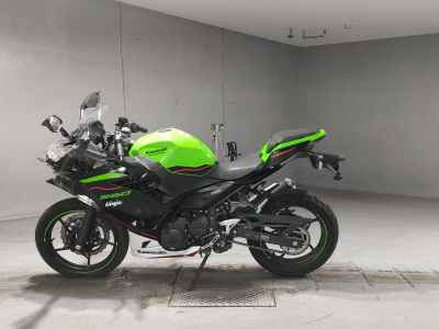 Kawasaki Ninja 250 2021