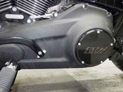 Harley-Davidson Low Rider ST FXLRST1920 2025