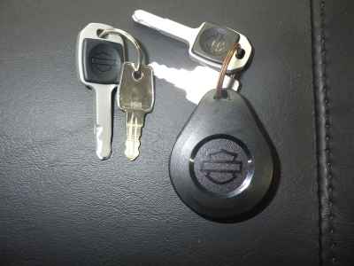 Harley-Davidson FXLRS1920 2024