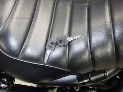 Harley-Davidson Sportster Iron XL883N 2020