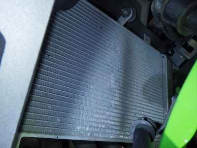 Kawasaki Ninja ZX-4RR 2024