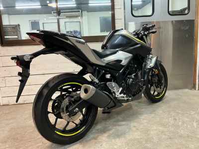 Yamaha MT-25 2017