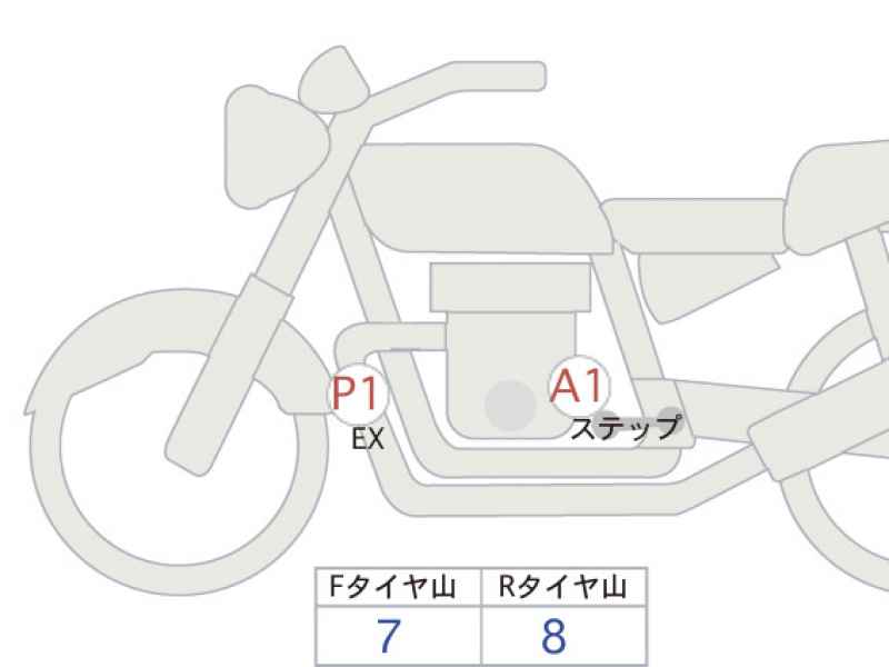 Triumph Trident 660 2024