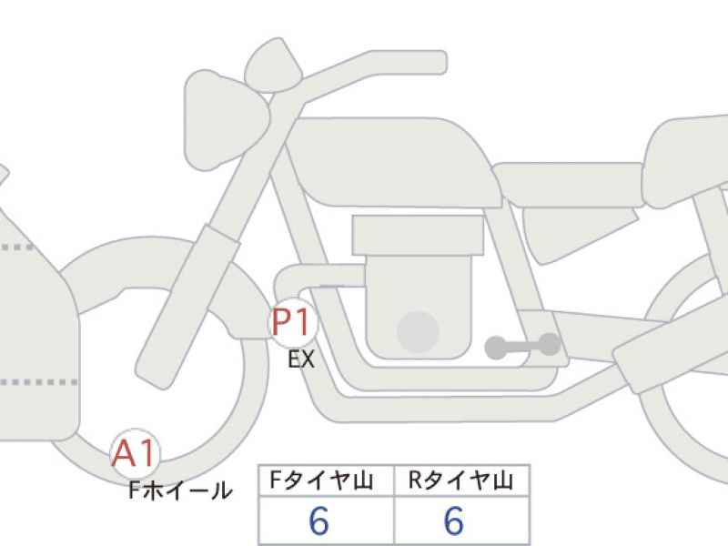 Kawasaki Ninja ZX-4RR 2024