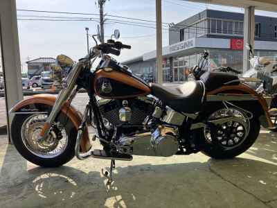 Harley-Davidson Heritage Special FLSTN 2007