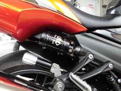 Kawasaki ZZR1400 2009