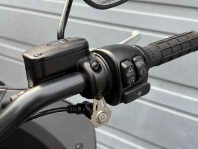 Harley-Davidson Low Rider ST FXLRST1920 2024