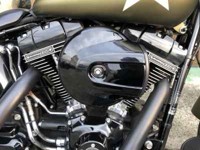 Harley-Davidson Slim S FLSS1800 2016