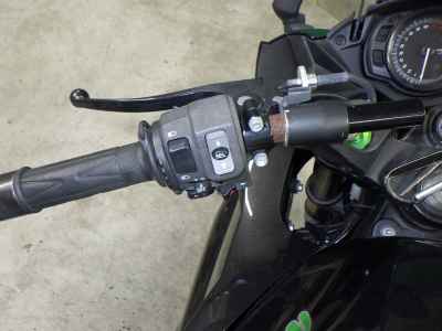 Kawasaki Ninja 1000 2015