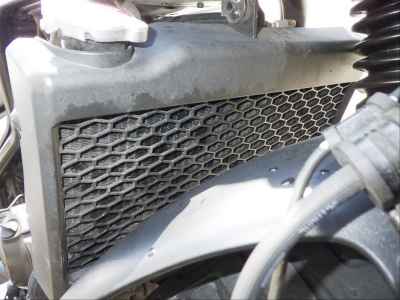 Honda Rebel S CMX250 2020