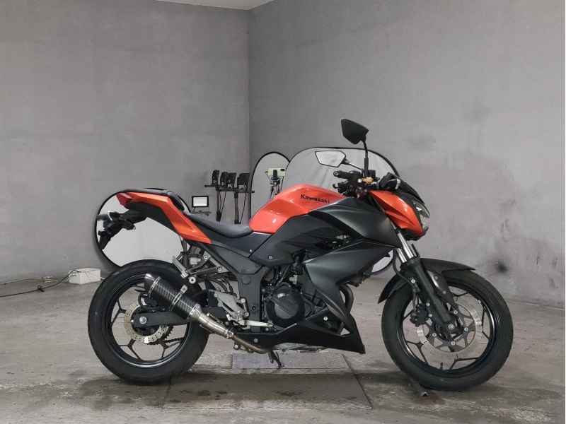 Kawasaki Z250 2014