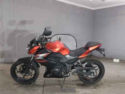 Kawasaki Z250 2014