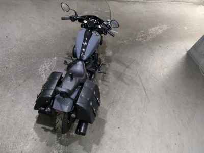 Indian Chief Dark Horse 2021