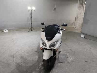 Honda Forza Z 2006
