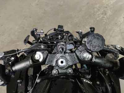 Kawasaki Ninja 1000SX 2024