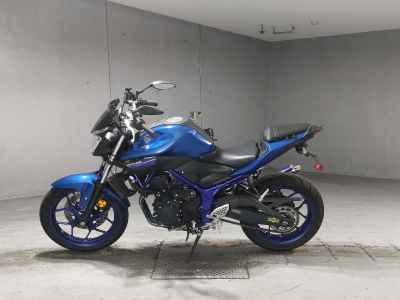 Yamaha MT-25 2016