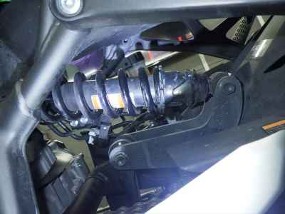 Kawasaki Ninja ZX-4RR 2024