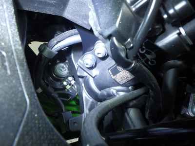Kawasaki Ninja ZX-4RR 2024