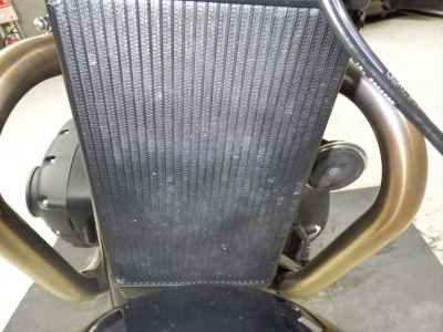 Triumph Speed Twin 900 2022