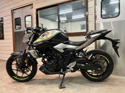 Yamaha MT-25 2017