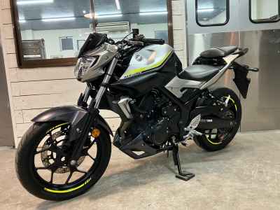 Yamaha MT-25 2017
