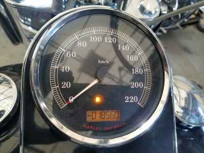 Harley-Davidson FLSTN1580 2014