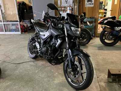 Yamaha MT-25 2016
