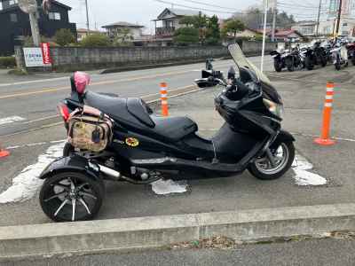 Suzuki Skywave 250 Trike