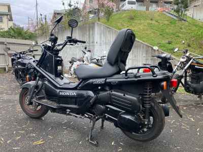 Honda PS250 Big Ruckus 2006