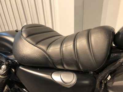 Harley-Davidson Sportster Iron XL883N 2020