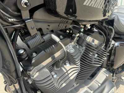 Harley-Davidson Roadster XL1200CX 2017