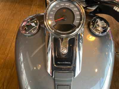 Harley-Davidson Sport Glide FLSB1750 2021