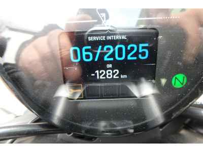 Triumph Trident 660 2024