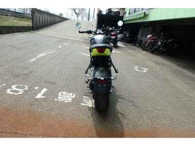 Triumph Trident 660 2024