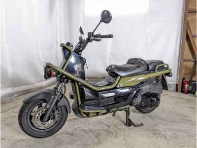 Honda PS250 Big Ruckus
