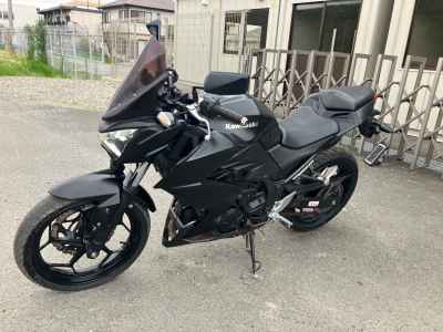 Kawasaki Z250 2013