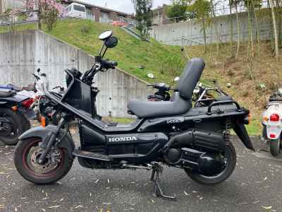 Honda PS250 Big Ruckus