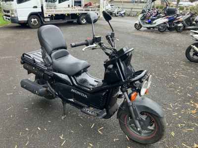 Honda PS250 Big Ruckus