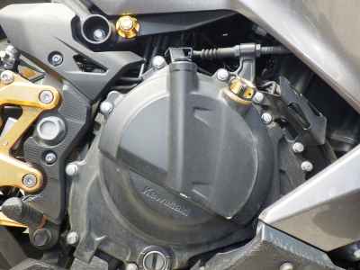 Kawasaki Ninja 250 2022