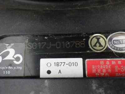 Yamaha Maxam 250 2007