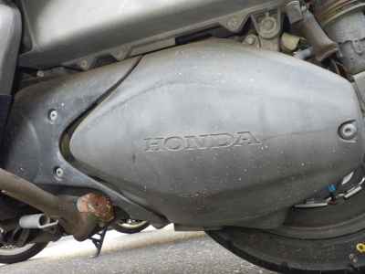 Honda Forza Z 2005
