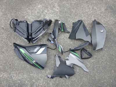 Kawasaki Ninja ZX-4R 2024